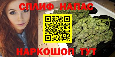 спайс Будённовск